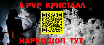 гашик Будённовск