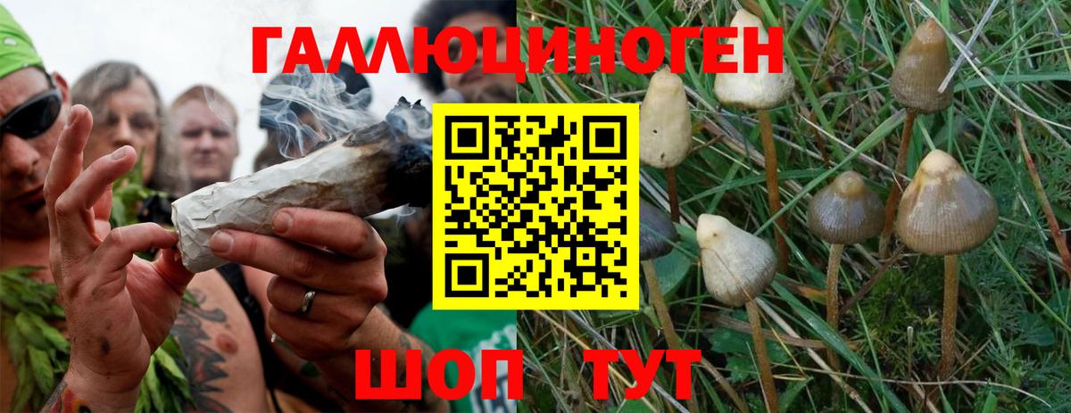 Галлюциногенные грибы MAGIC MUSHROOMS Хасавюрт
