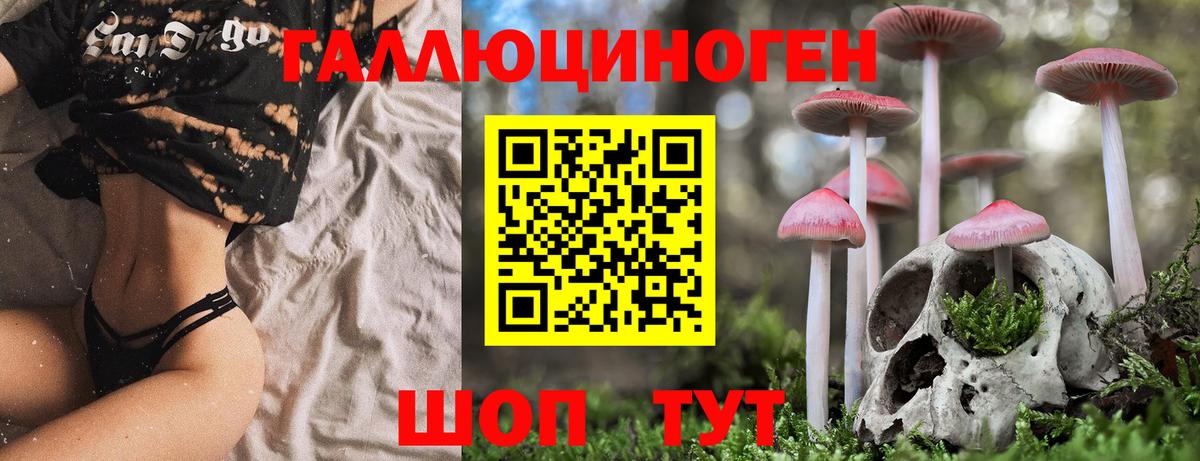 Псилоцибиновые грибы мицелий  Вход с VPN  Хасавюрт 